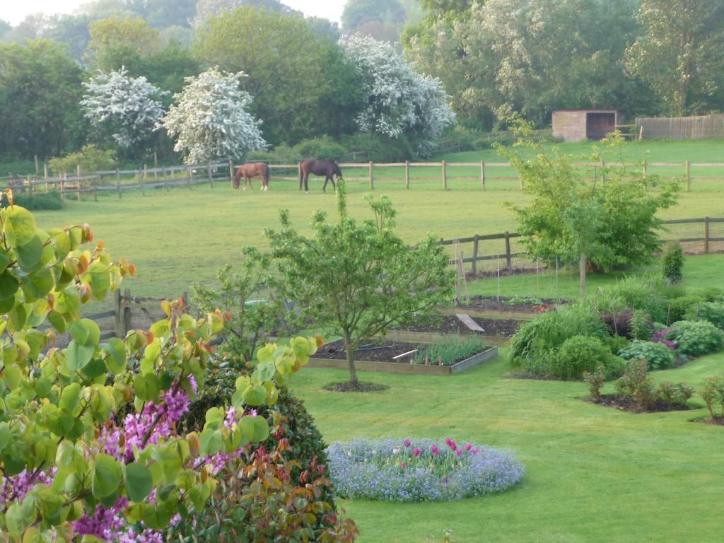 The Corner House Bed and Breakfast Rye Esterno foto