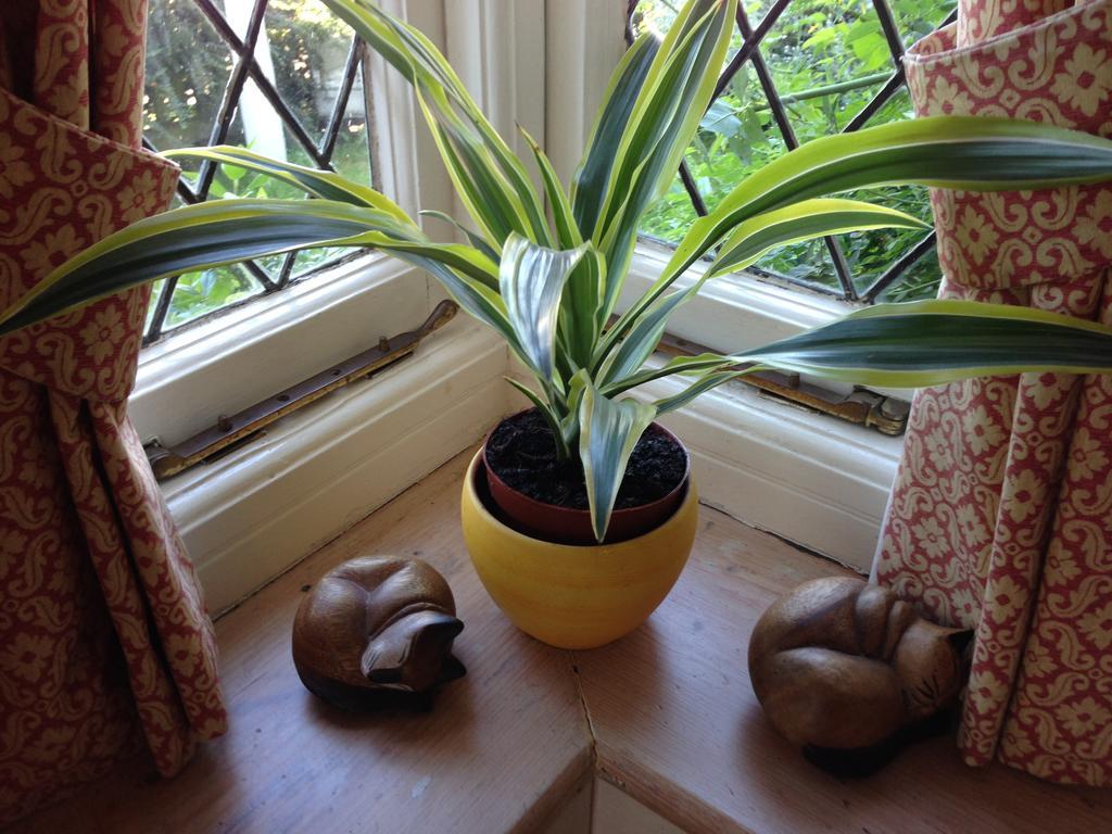 The Corner House Bed and Breakfast Rye Esterno foto