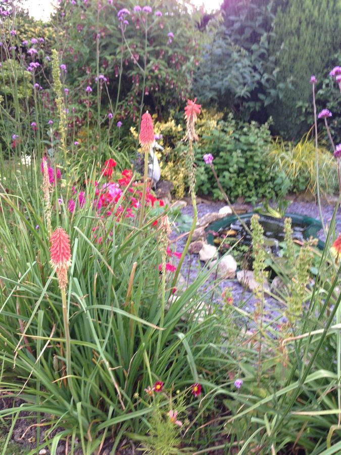 The Corner House Bed and Breakfast Rye Esterno foto